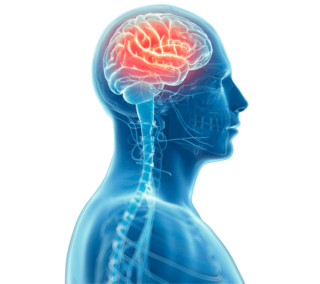 BrainDefender Brain Health